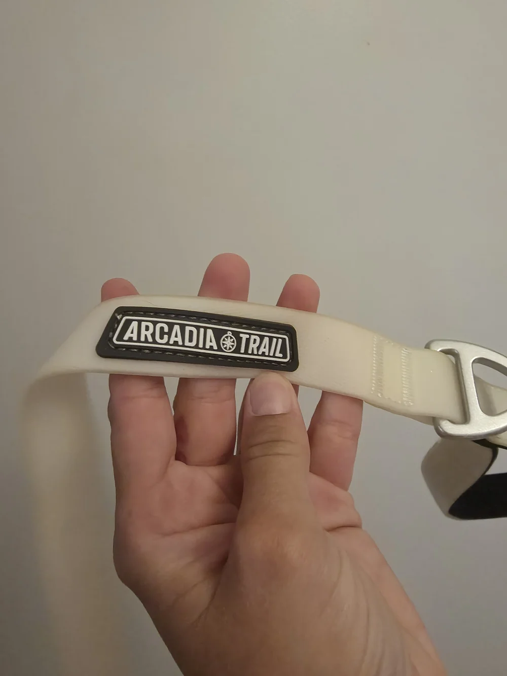 Cream Nylon Dog Leash with Padded Handle